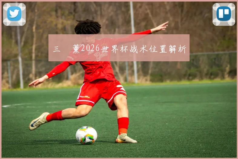 三笘薰2026世界杯战术位置解析