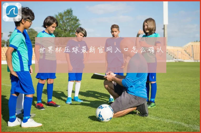 世界杯压球最新官网入口怎么确认