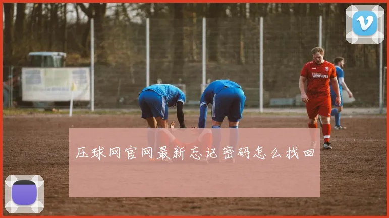 压球网官网最新忘记密码怎么找回