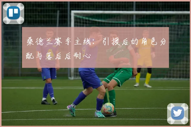 桑德兰赛季主线:引援后的角色分配与落后后耐心