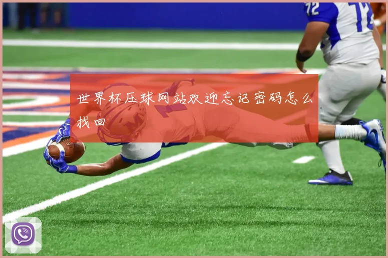 世界杯压球网站欢迎忘记密码怎么找回